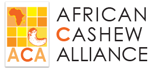 Africa Cashew Alliance
